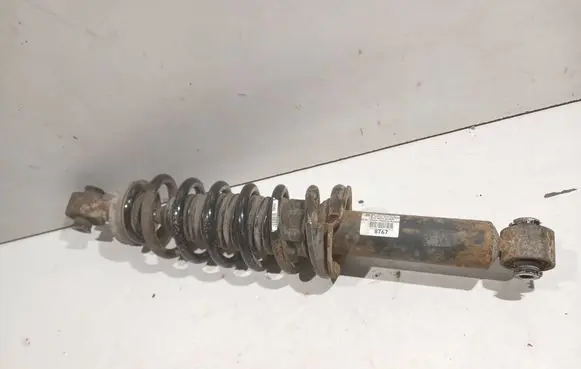 Peugeot 407 Rear shock absorber with coil spring 8767