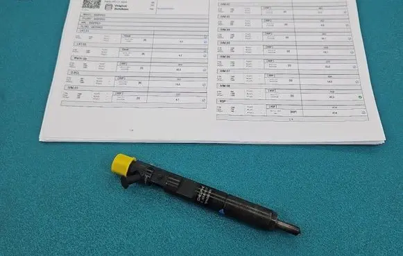Renault Clio III Fuel injector EJBR05102D IMPRK1584258