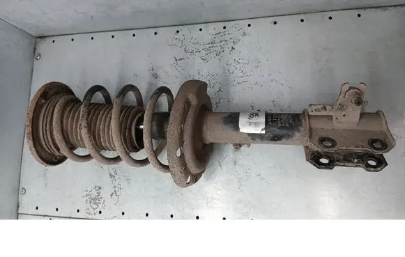 Opel Vectra C Front shock absorber/damper AGX099MT