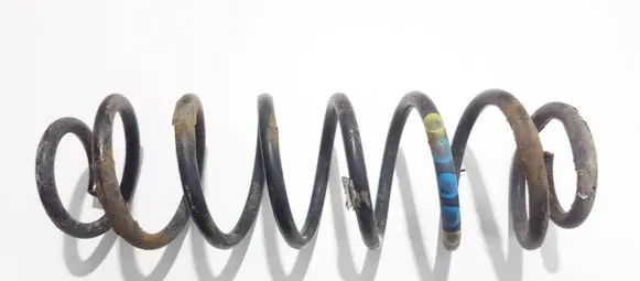 Rear coil spring