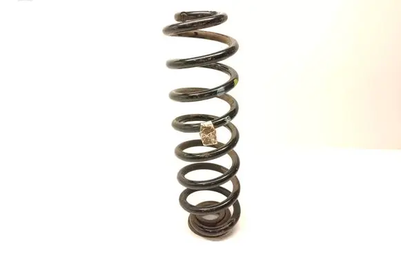 KIA Niro Rear coil spring 55330A0200