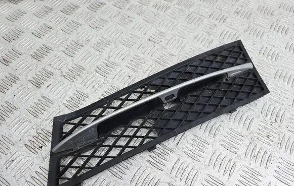 BMW 5 F10 F11 Front bumper lower grill 7200699 51117200699 7231859