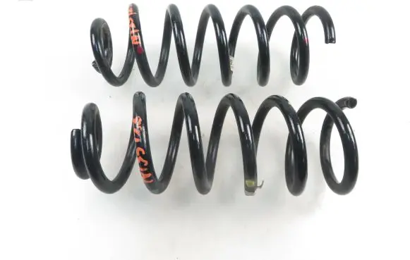 Rear coil spring