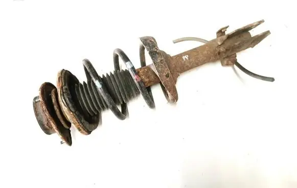 Front shock absorber with coil spring