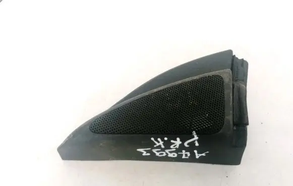 Side speaker trim/cover