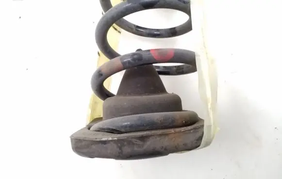 Nissan Qashqai Rear coil spring