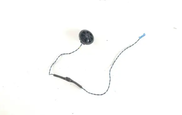 Front door high frequency speaker