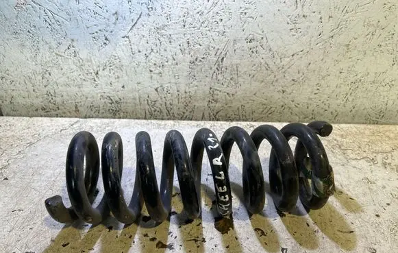 Rear coil spring