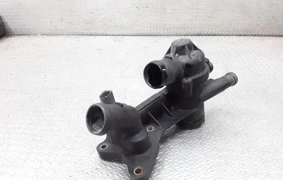Thermostat/thermostat housing