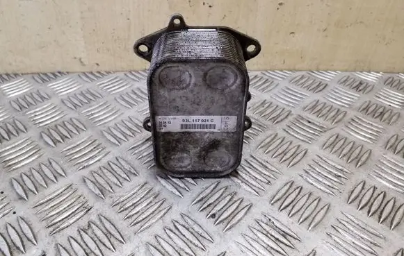 Skoda Yeti (5L) Oil filter mounting bracket 03L117021C