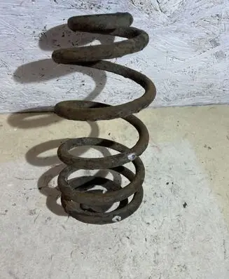 Volkswagen PASSAT B6 Rear coil spring