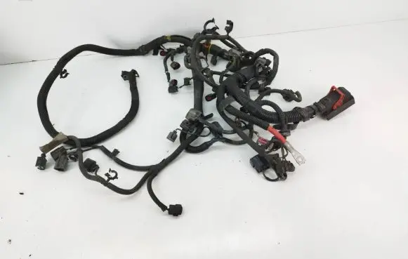Engine installation wiring loom