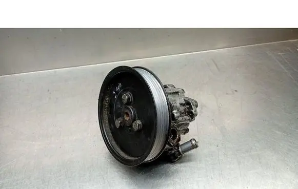 BMW 3 E36 Power steering pump 1094964