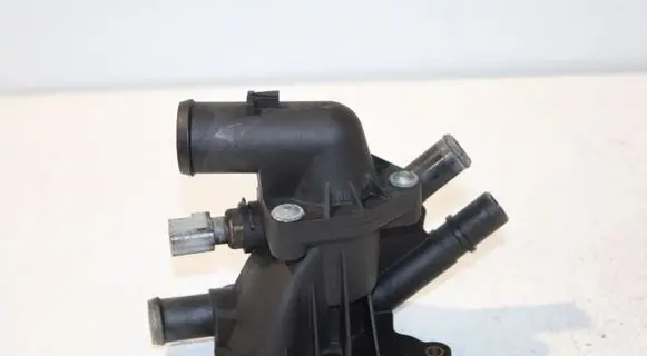 Thermostat/thermostat housing