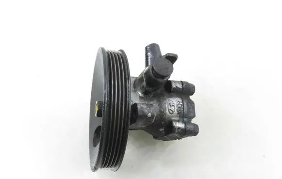 Hyundai Sonata Power steering pump 
