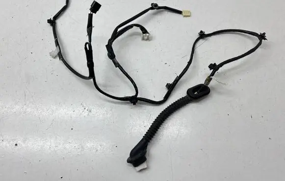 Rear door wiring loom