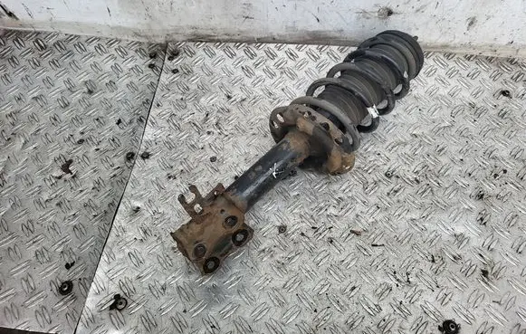 Opel Meriva B Front shock absorber with coil spring 13268956 22245141