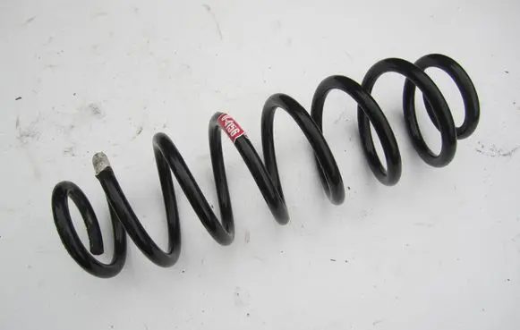 Rear coil spring