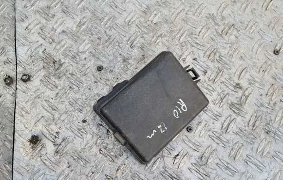 KIA Rio Fuse box cover 919501W420
