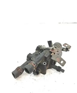 Thermostat/thermostat housing