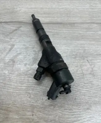 Peugeot 406 Fuel injector 0445110076