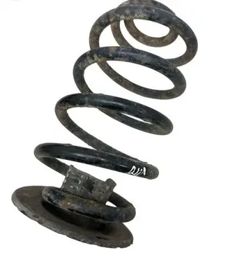 Rear coil spring