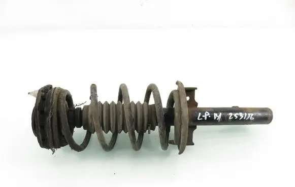 Renault Megane II Front shock absorber with coil spring 