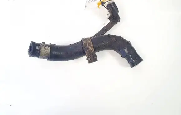 Nissan Primera Engine coolant pipe/hose