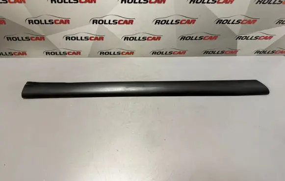 Rear door trim (molding)