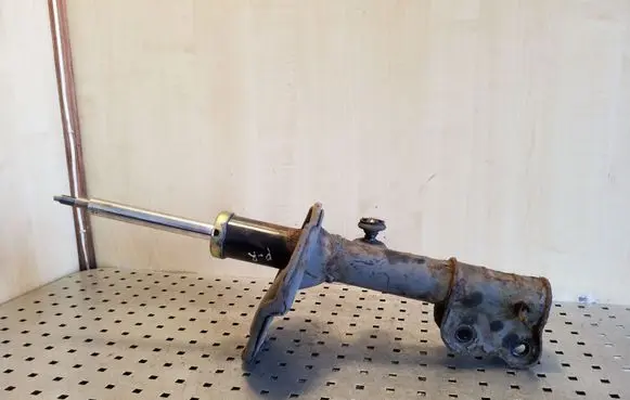 Hyundai Santa Fe Front shock absorber/damper