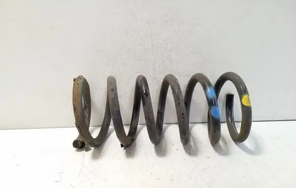 Rear coil spring