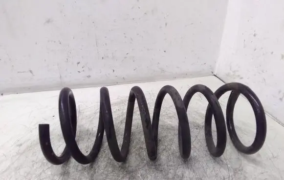 Rear coil spring