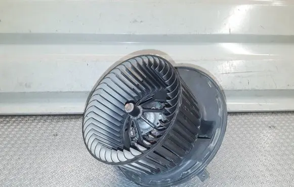Mercedes-Benz B W245 Heater fan/blower A1698200642
