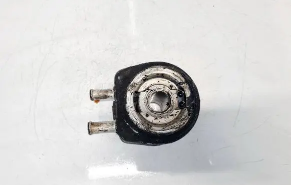 Peugeot 406 Engine oil radiator 