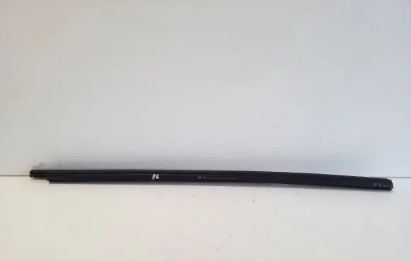 Front door glass trim molding