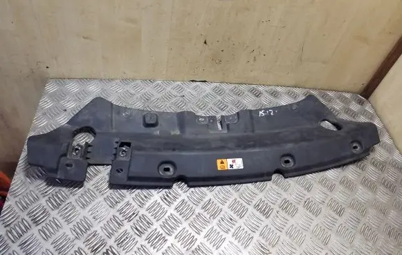 Engine bonnet/hood lock trim molding