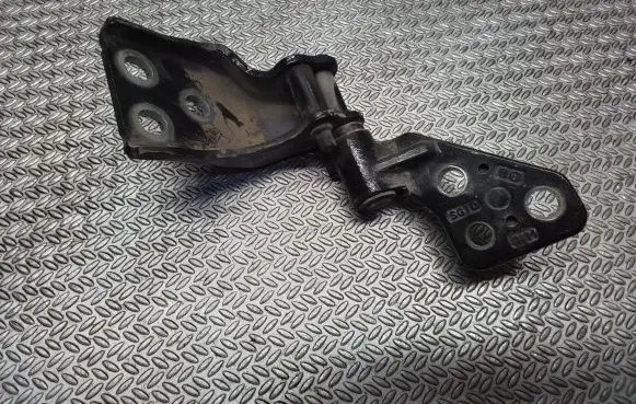 Peugeot Partner Front door lower hinge 