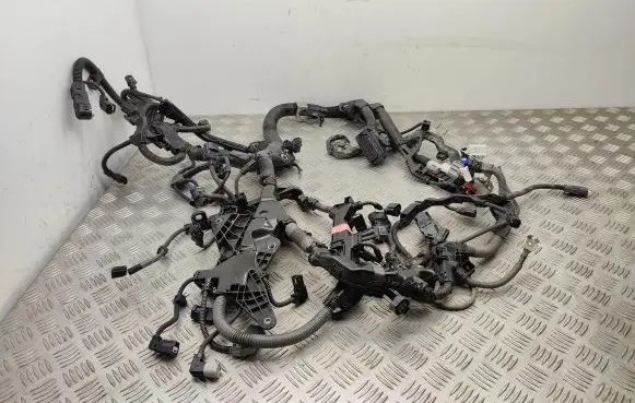 Toyota RAV 4 (XA50) Engine installation wiring loom