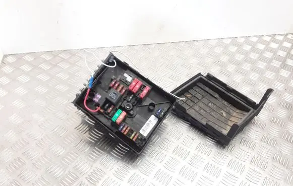 Volkswagen Golf V Fuse module