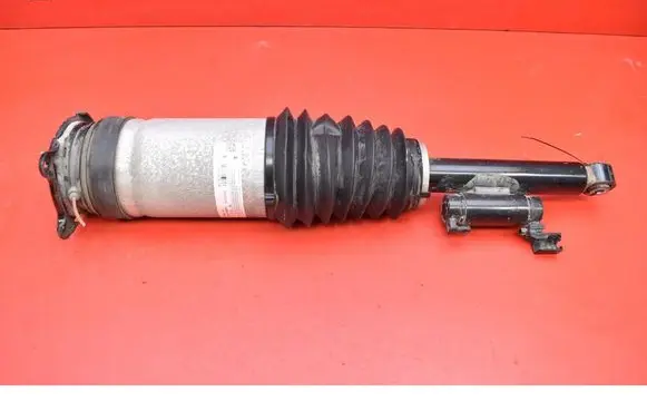 Tesla Model S Rear shock absorber/damper 1066461-00-C
