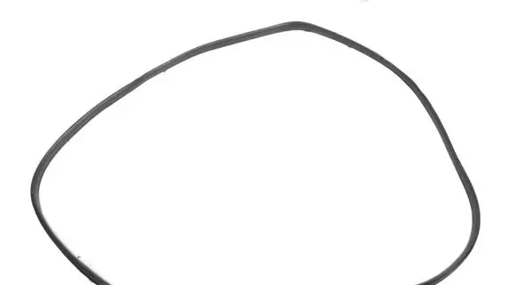 KIA EV6 Rubber seal front door (on door) 