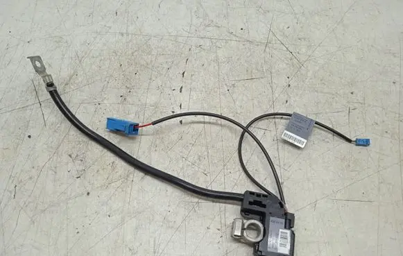 BMW X1 E84 Negative earth cable (battery) 921595301