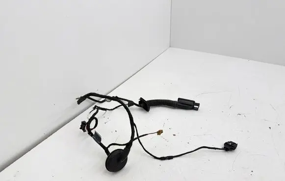 Audi Q2 - Rear door wiring loom 81A971687K 19102018 TAB026205AS