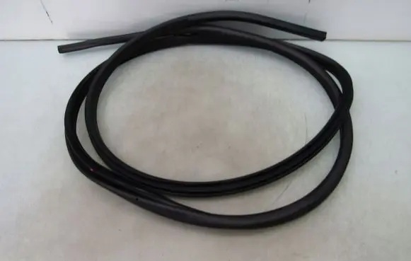 Nissan Leaf II (ZE1) Front door rubber seal 