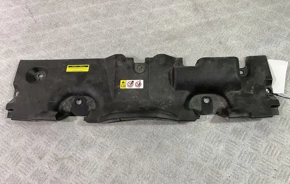 Engine bonnet/hood lock trim molding
