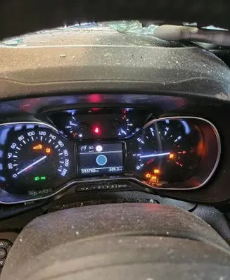 Speedometer (instrument cluster)