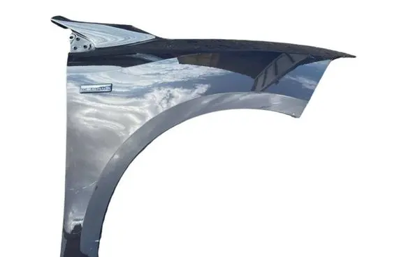 Renault Fluence Fender
