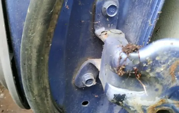 Rear door lower hinge