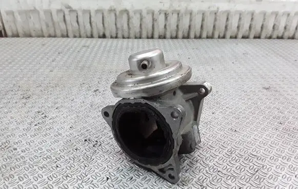 Seat Toledo III (5P) EGR valve 038131501AN