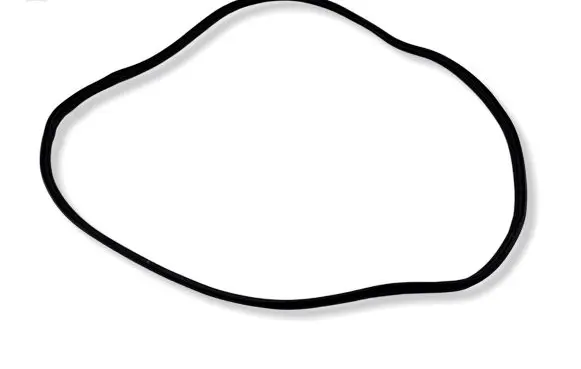 KIA EV6 Front door rubber seal 
